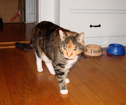 Tillie
